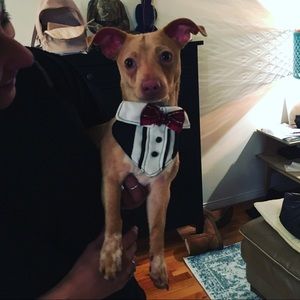 Meet your Posher, Nia